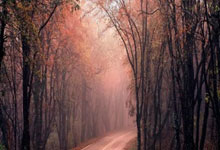 金年会：7胜3平，巴萨自2022年9月以来首次连续10场客场保持不败.