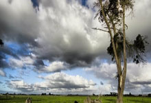 金年会jinnianhui:关于做好2023年奉贤区高中阶段学校招收优秀体育学生的通知.