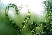 阿穆塔：冠軍心態助力約旦歷史性闖入亞洲杯決賽.